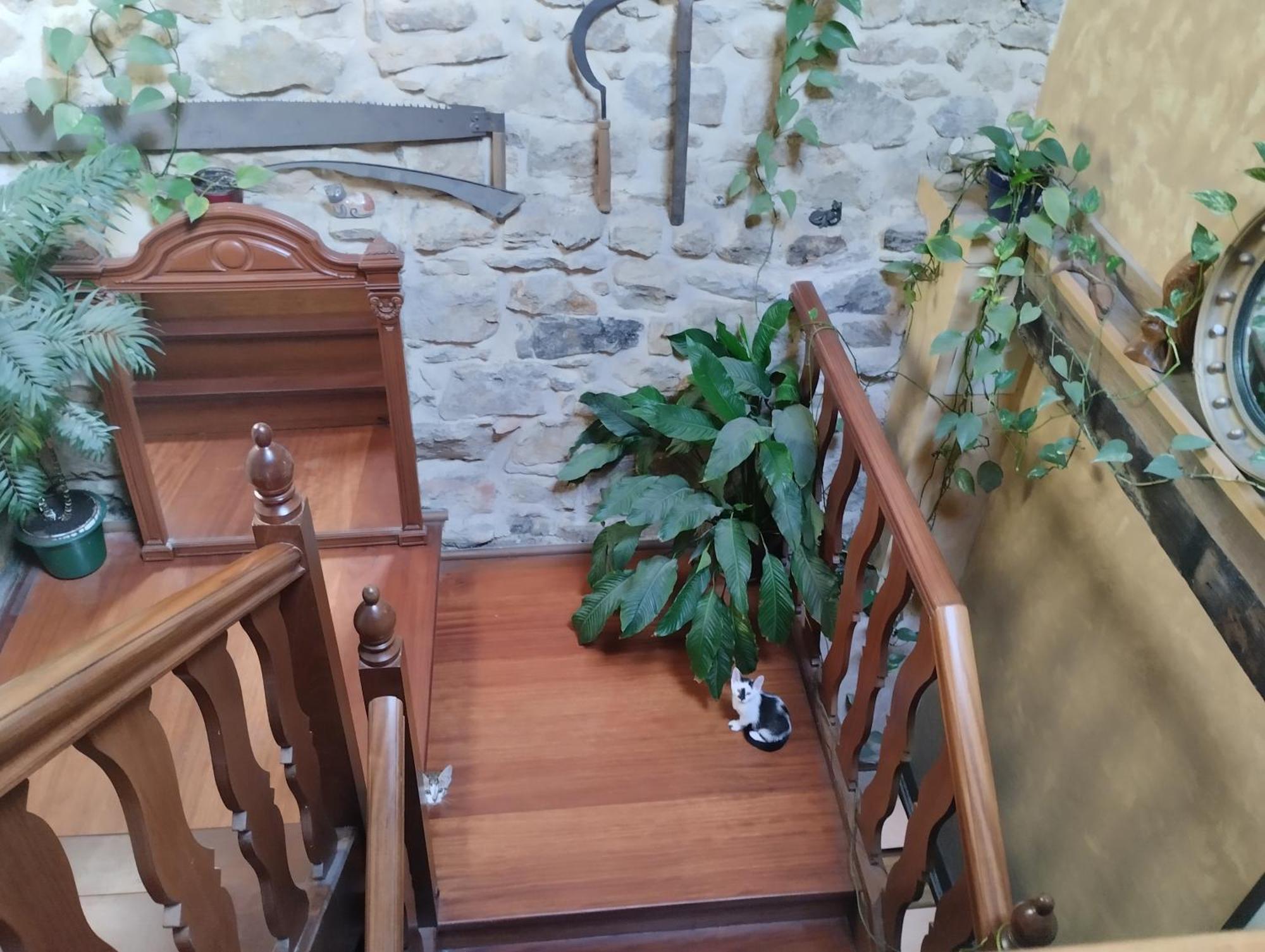 Eguzki B&B Durango Extérieur photo
